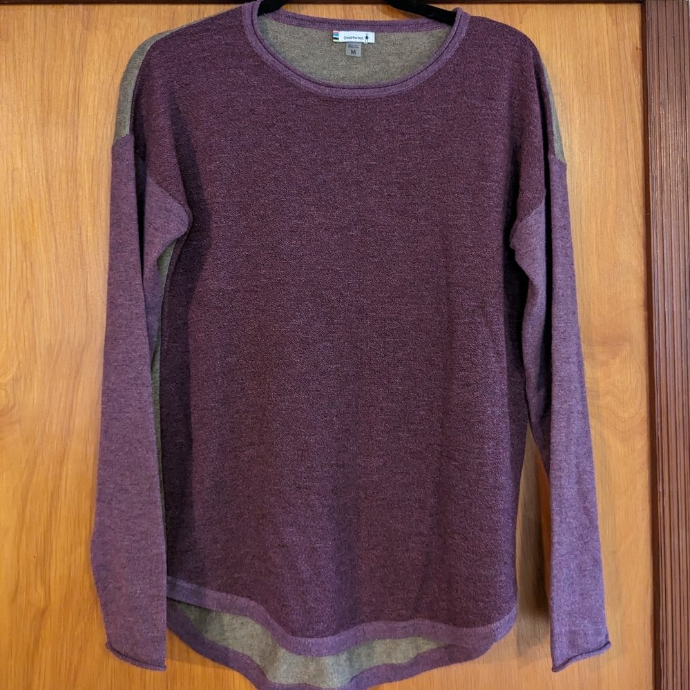 Snartwool Colorblock Sweater